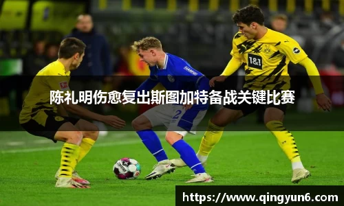 陈礼明伤愈复出斯图加特备战关键比赛