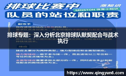 排球专题：深入分析北京排球队默契配合与战术执行