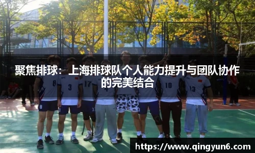 聚焦排球：上海排球队个人能力提升与团队协作的完美结合