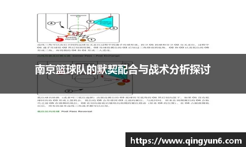 南京篮球队的默契配合与战术分析探讨