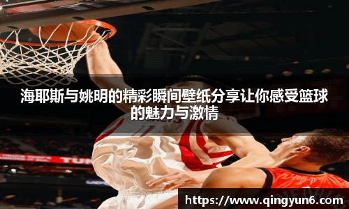 海耶斯与姚明的精彩瞬间壁纸分享让你感受篮球的魅力与激情