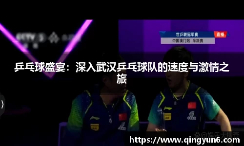 乒乓球盛宴：深入武汉乒乓球队的速度与激情之旅