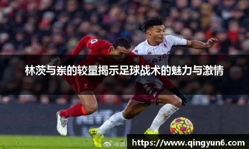 林茨与岽的较量揭示足球战术的魅力与激情