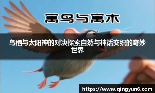 星空体育网站入口