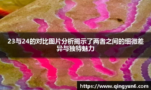 星空体育(中国)官方网站